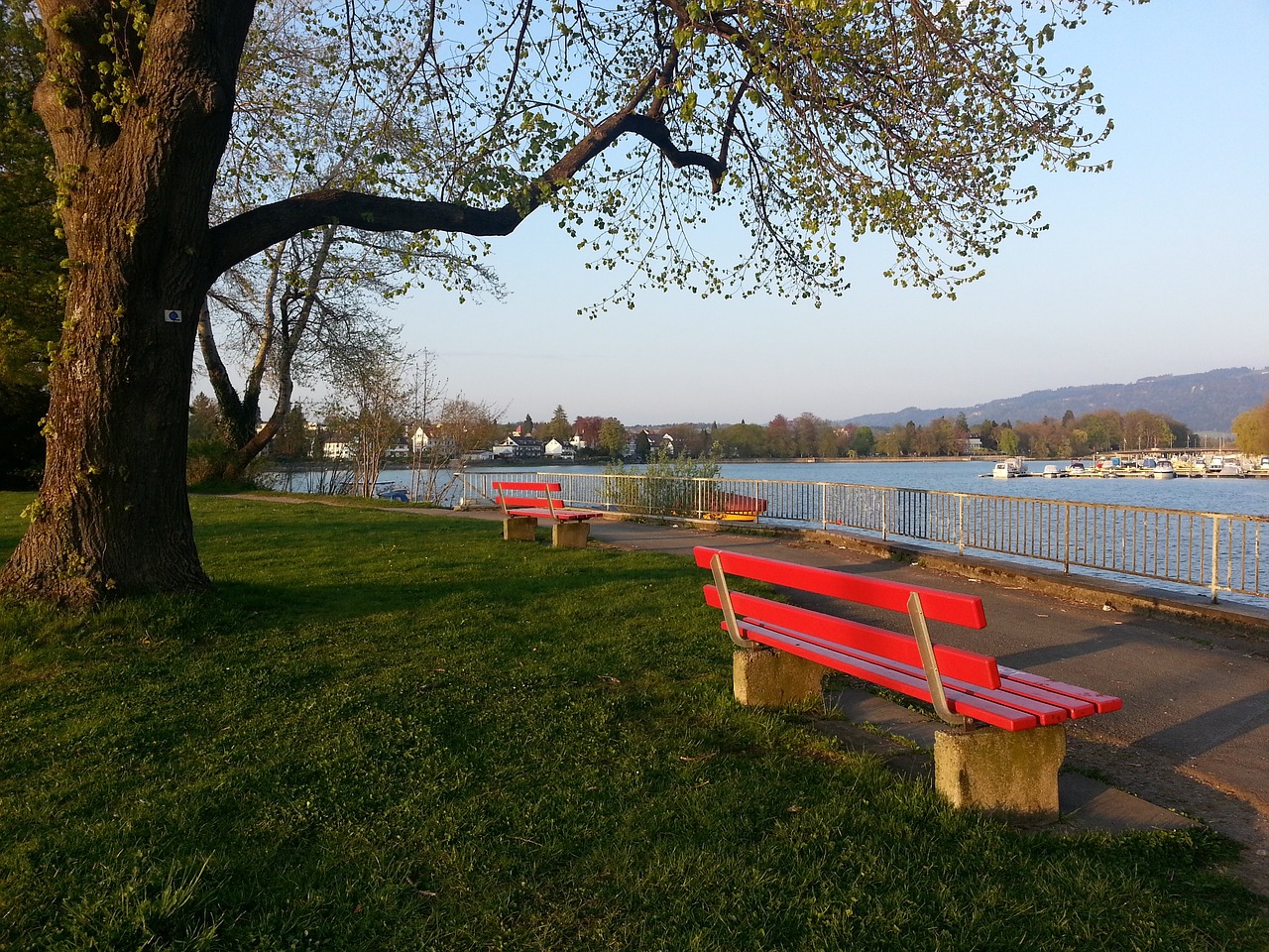 克林篮网 克林篮网