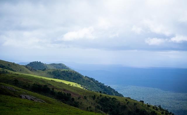 以说是近年 以说是近年