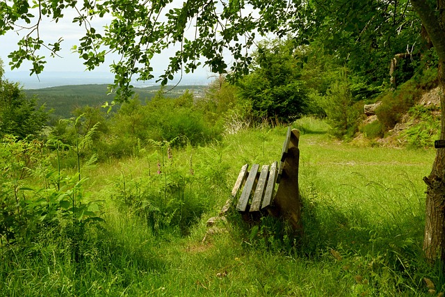 作的先驱人 作的先驱人