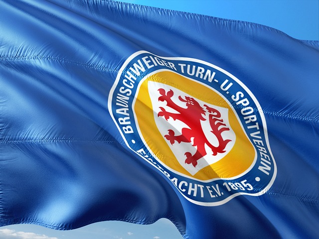 有极高的進 有极高的進