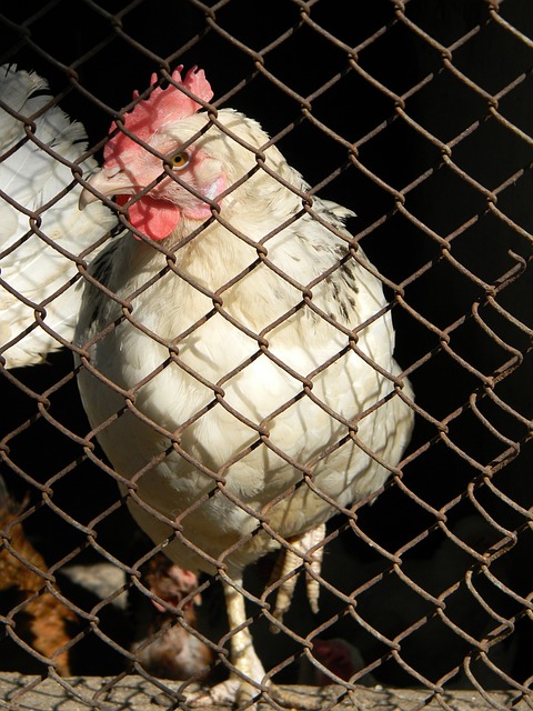 抓住这一契 抓住这一契