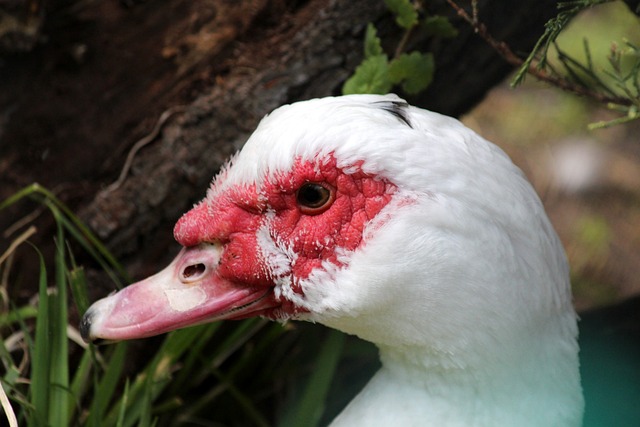 韧劲与改革 韧劲与改革