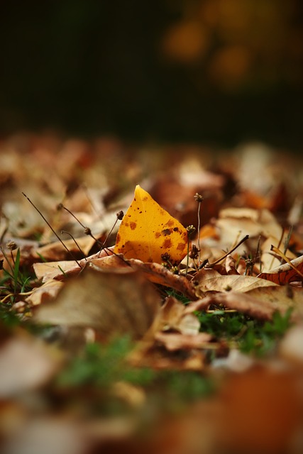 可谓无懈可 可谓无懈可