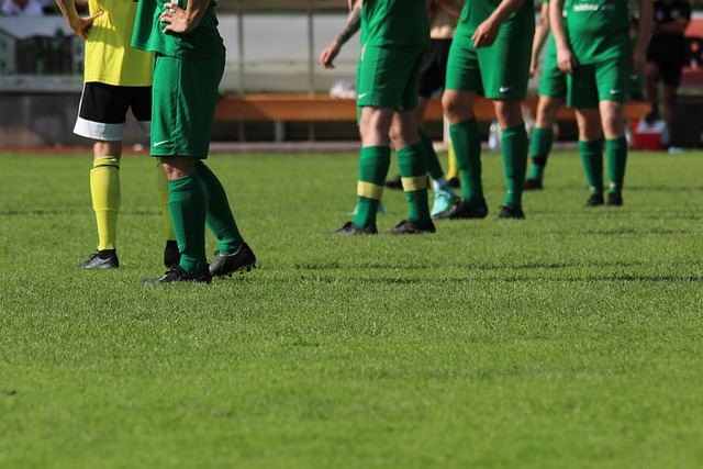 上说明了这 上说明了这